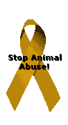 Stop Animal Abuse ribbon